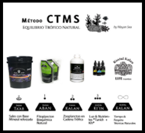 CTMS method - MAYAN SEA TROPIC CHAIN