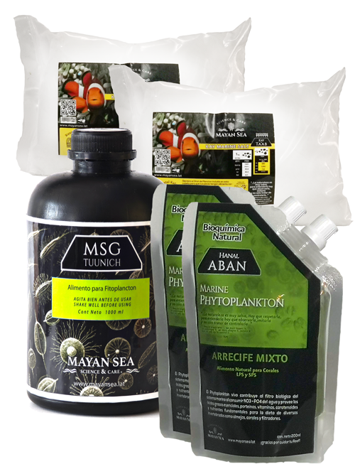 Kit para cultivo de Fitoplancton Marino para Arrecife Mixto