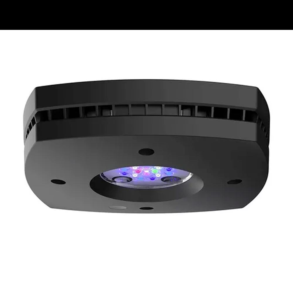 AI Prime 16 HD LED Module - Black Body