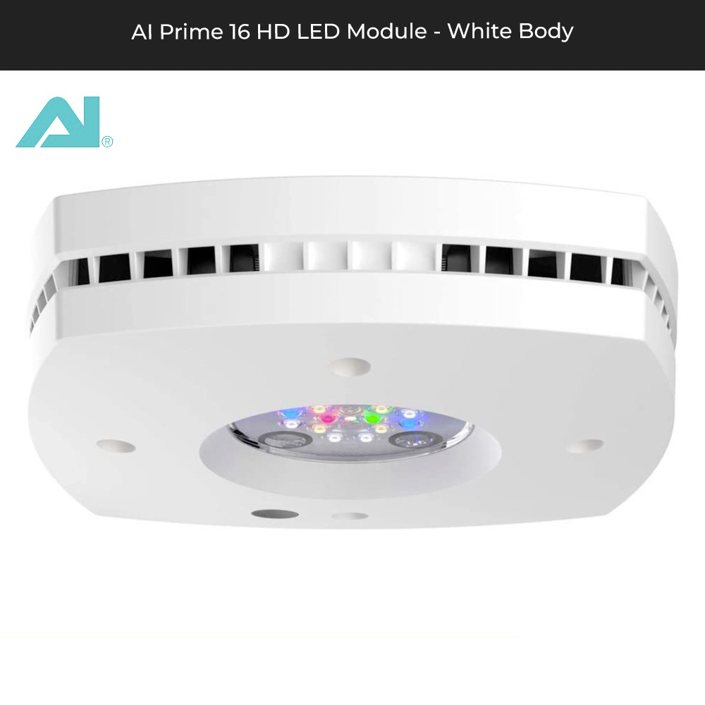 AI Prime 16 HD LED Module - White Body