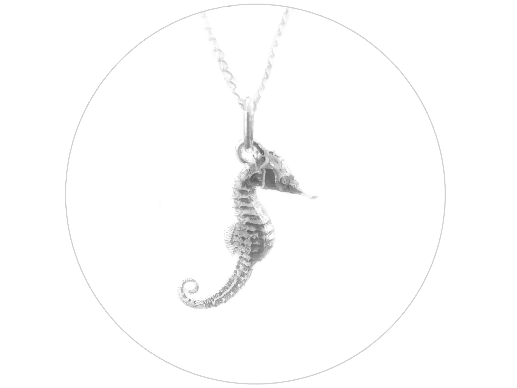 Hippocampus hot pendant silver 925