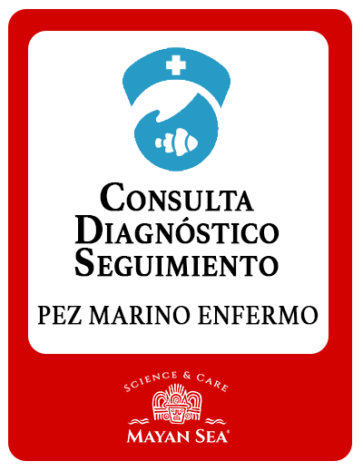 Ticket de Consulta & Diagnóstico