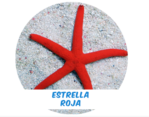 Estrella Roja