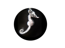 Load image into Gallery viewer, Hippocampus Pendant Hyper Realistic Silver .925 Exclusive Design by NECORA
